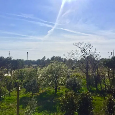 Apartman Bosiljka *