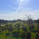 Appartement Bosiljka *