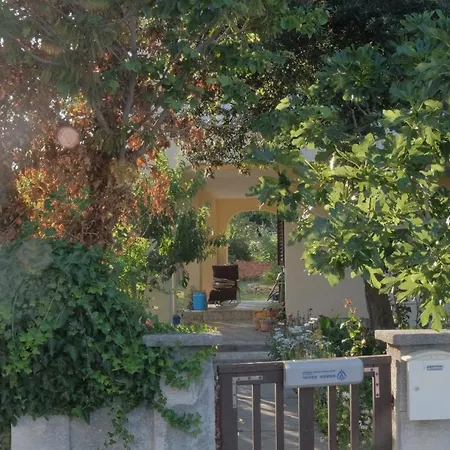 Bosiljka شقة نين