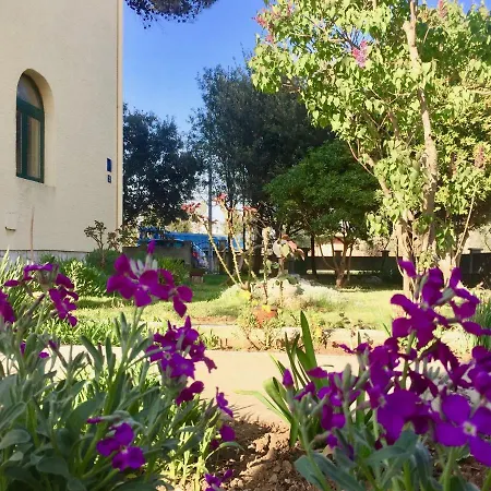 Bosiljka Apartamento *