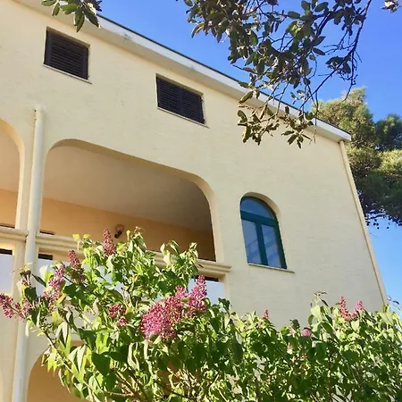 شقة Bosiljka نين