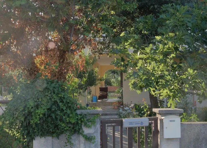 Bosiljka Apartman Nin