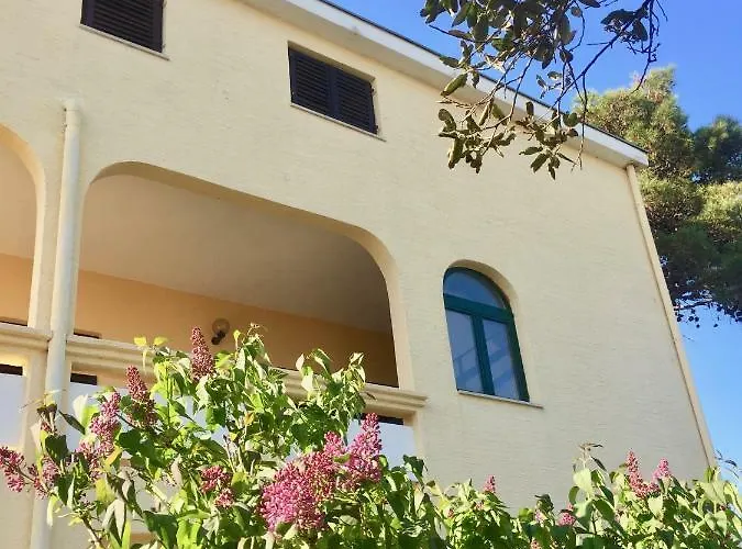 Apartman Bosiljka Nin